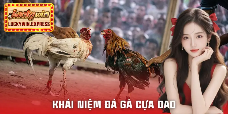 da-ga-cua-dao-khai-niem