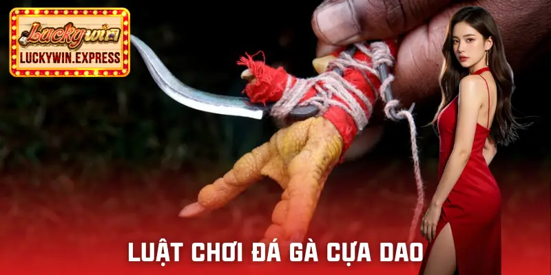 da-ga-cua-dao-luat-choi