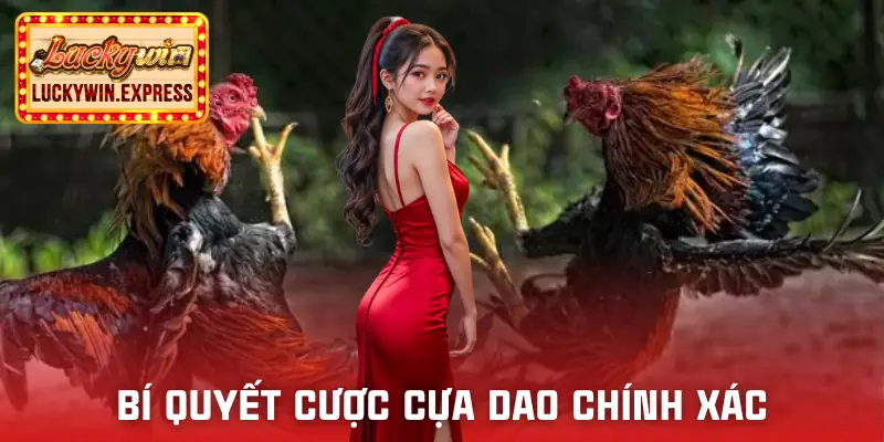 da-ga-cua-dao-meo-choi