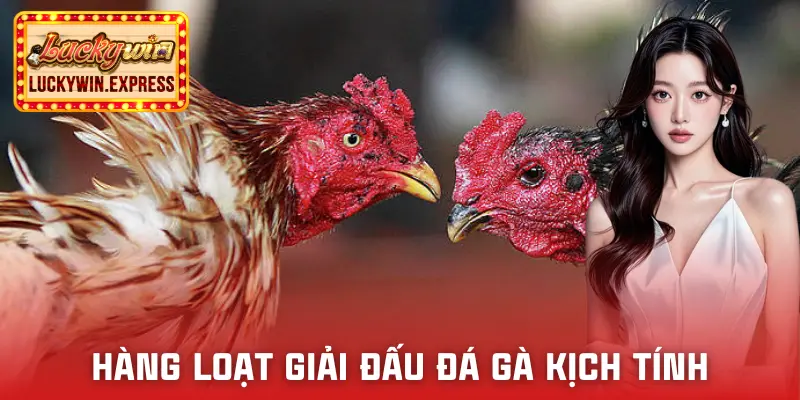 da-ga-luckywin-tu-giai-dau-lon-den-nho